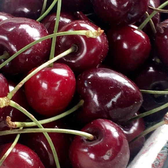 Meet your Posher, Nikita - Picture 1 of 1